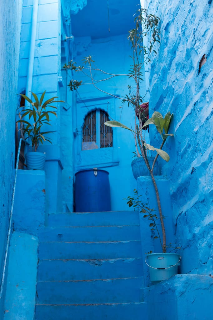 Jodhpur City (13)